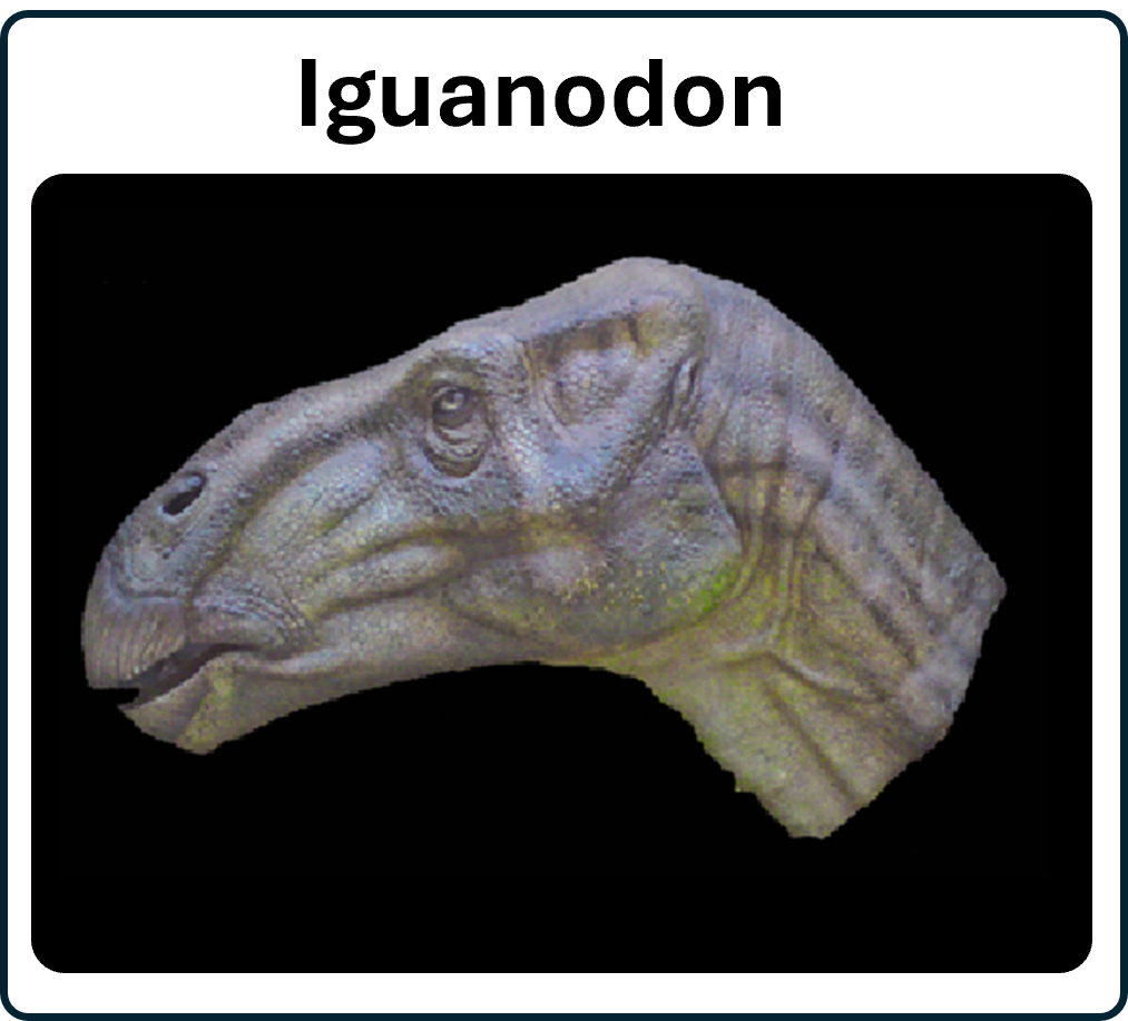 ga naar de iguanodon