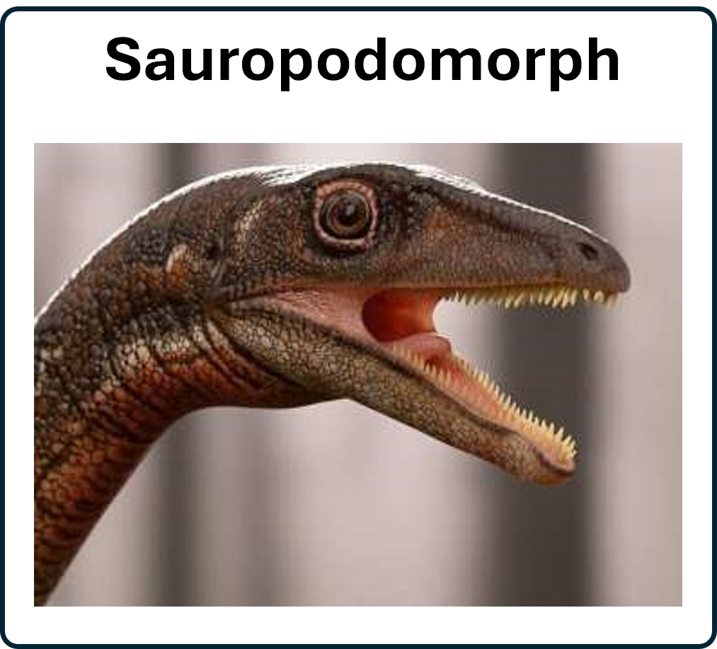 ga naar de sauropodomorph