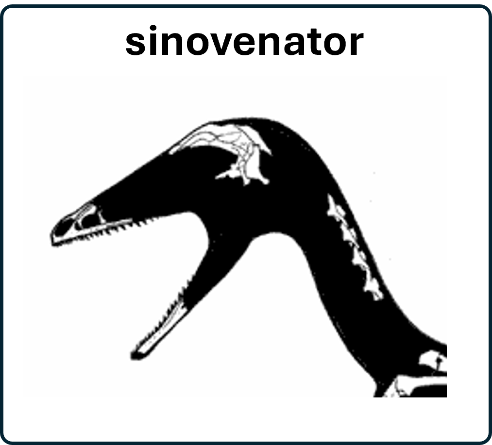 Ga naar de sinovenator